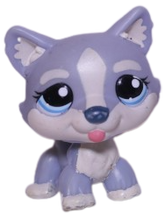 #1684 Husky